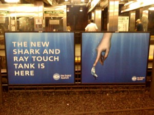 http://americaninno.com/wp-content/uploads/wpallimport/files/1//2012/03/mbta-ads-300x225.jpg