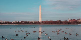 washington monument